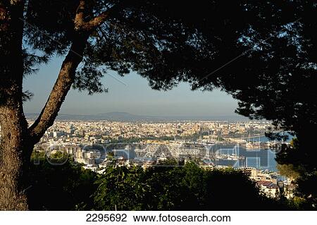 Stock Image - Spain, Majorca, Looking through trees of Parc de Bellver; Palma. Fotosearch