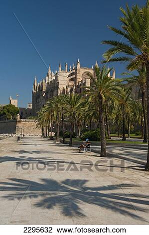 Stock Image - Spain, Majorca, Palm trees in Parc de la Mar leading to Cathedral; Palma. Fotosearch