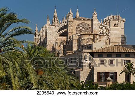Spain, Majorca, Palm trees in Parc de la Mar leading to Cathedral; Palma View Large Photo Image Stock Image - Spain, Majorca, Palm trees in Parc de la Mar leading to Cathedral; Palma. Fotosearch