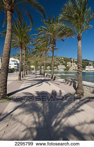 Stock Photo - Spain, Shadows of palm trees on promenade beside beach of Port Soller; Majorca. Fotosearch
