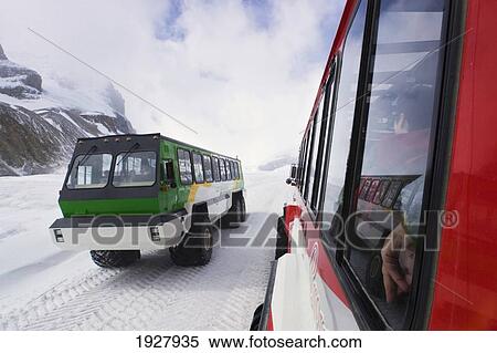Stock Photography - Special Designed Snowcoaches Afford Access To The Athabasca Glacier For Tourists Wishing To Walk On The Icefield, On The Boundary Of Banff And Jasper National Parks Alberta Canada. Fotosearch