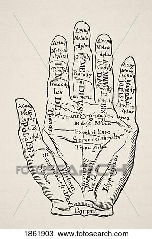 Stock Image - Specimen Of The Left Hand With The Lines And Their Horoscopic Denominations. From Science And Literature In The Middle Ages By Paul Lacroix Published London 1878. Fotosearch