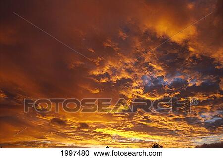 Spectacular Large Clouds At Sunrise, Orange Pink Golden Sky A35F View Large Photo Image Stock Image - Spectacular Large Clouds At Sunrise, Orange Pink Golden Sky A35F. Fotosearch