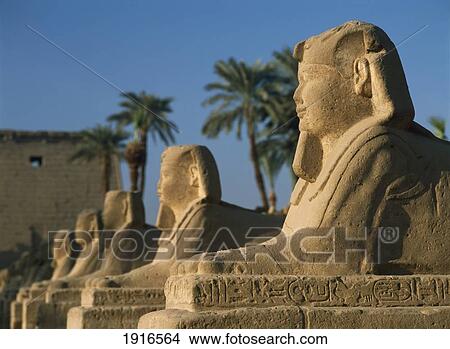 Picture - Sphinx At Dawn In Avenue Of Sphinxes. Fotosearch