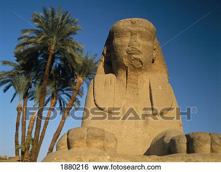 Stock Photograph - Sphinx Statue In Front Of Date Palms. Fotosearch