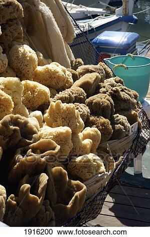 Sponges On Sale In Old Town View Large Photo Image Stock Image - Sponges On Sale In Old Town. Fotosearch