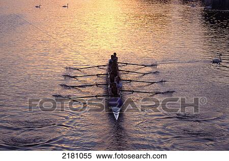 Stock Photography - Sport; Rowing; Viii Training. Fotosearch