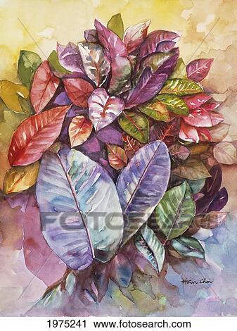 Stock Image - Spring Breeze, Colorful Croton Leaves (Watercolor Painting).. Fotosearch