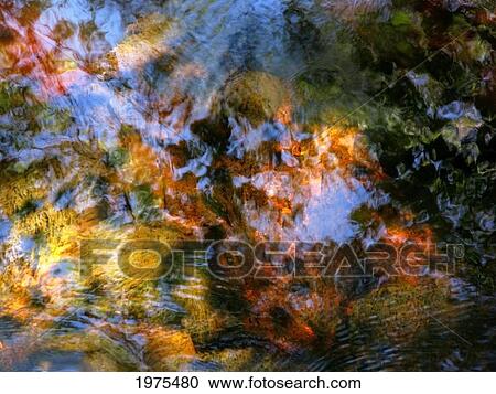 Spring Water, Massachusetts, Seekonk, Caratunk Wildlife Refuge, Ripples And Reflections On Water Surface. View Large Photo Image Stock Image - Spring Water, Massachusetts, Seekonk, Caratunk Wildlife Refuge, Ripples And Reflections On Water Surface.. Fotosearch