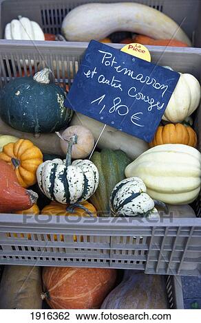 Squashes & Pumpkins At Market View Large Photo Image Stock Image - Squashes & Pumpkins At Market. Fotosearch