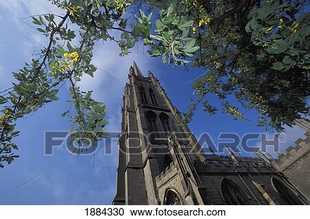 Stock Image - St. James Cathedral And Tree Branches. Fotosearch