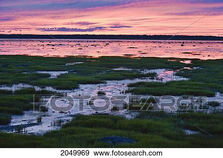 Stock Photo - St. Lawrence River At Low Tide And Saint-Barnabe Island At Dusk, Bas-Saint-Laurent Region, Rimouski, Quebec. Fotosearch