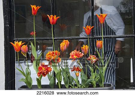 Stock Photo - St Vincent House In Lynmouth. Window With Orange Flowers And Chef In Background, Exmoor, Uk. Fotosearch