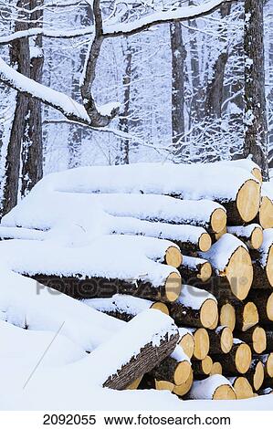 Stack Of Logs Covered With Snow; Saint-Adrien-D'irlande Quebec Canada View Large Photo Image Stock Photography - Stack Of Logs Covered With Snow; Saint-Adrien-D'irlande Quebec Canada. Fotosearch