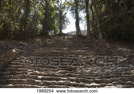 Picture - Staircase To Building 33, Yaxchilan, Chiapas, Mexico. Fotosearch