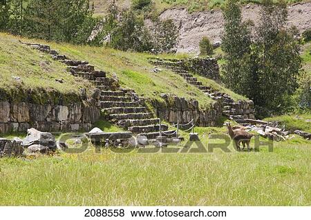 Stairs To The Northern Platform, Chavin De Huantar, Ancash, Peru View Large Photo Image Stock Photo - Stairs To The Northern Platform, Chavin De Huantar, Ancash, Peru. Fotosearch