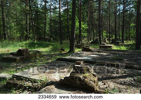 Stalag Luft; Sagan, Poland View Large Photo Image Stock Photo - Stalag Luft; Sagan, Poland. Fotosearch
