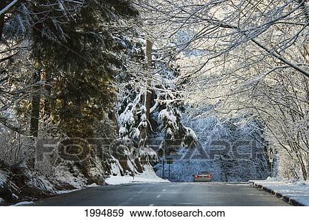 Stock Photo - Stanley Park Drive In Winter, Vancouver, British Columbia, Canada. Fotosearch