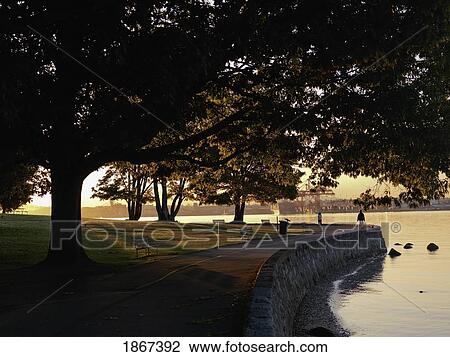 Stock Image - Stanley Park; Vancouver, British Columbia, Canada. Fotosearch