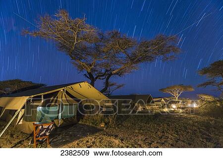 Stock Photo - Star trails over tented camp in the Serengeti National Park; Tanzania. Fotosearch