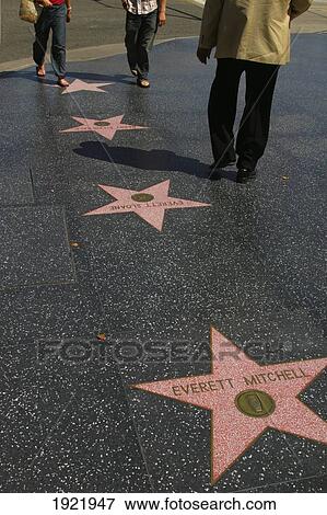 Stars, Hollywood Boulevard View Large Photo Image Stock Photo - Stars, Hollywood Boulevard. Fotosearch