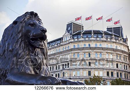 Statue of a lion in Trafalgar Square; London, England View Large Photo Image Stock Photograph - Statue of a lion in Trafalgar Square; London, England. Fotosearch