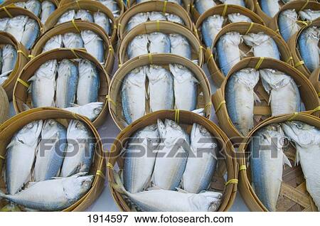 Steamed Fish On Market Stall View Large Photo Image Stock Photo - Steamed Fish On Market Stall. Fotosearch