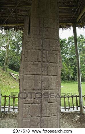 Stock Photo - Stele C, Quirigu. Fotosearch