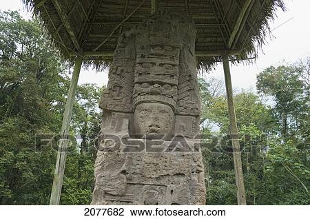 Stock Image - Stele J, Quirigu. Fotosearch