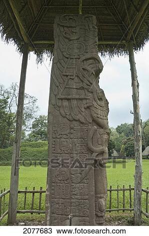 Stock Image - Stele J, Quirigu. Fotosearch
