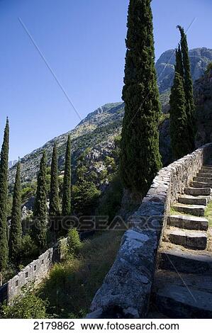 Stock Image - Steps And Cypress Trees Old City Wall, Kotor Monte. Tif. Fotosearch