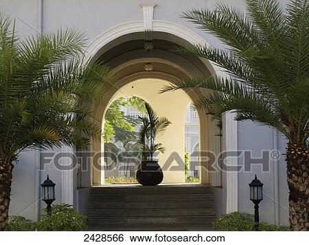 Steps leading up into an arched entryway with lamp posts and palm trees View Large Photo Image Stock Photograph - Steps leading up into an arched entryway with lamp posts and palm trees. Fotosearch