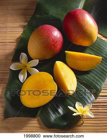 Still Life With Ripe Mango, Tropical Hawaiian Fruit, Sectioned And Whole B1119 View Large Photo Image Stock Image - Still Life With Ripe Mango, Tropical Hawaiian Fruit, Sectioned And Whole B1119. Fotosearch