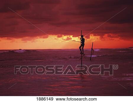 Stilt Fisherman In Ahamgama View Large Photo Image Stock Photo - Stilt Fisherman In Ahamgama. Fotosearch