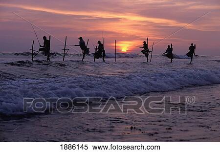 Stilt Fishermen Silhouetted At Sunset View Large Photo Image Stock Photography - Stilt Fishermen Silhouetted At Sunset. Fotosearch