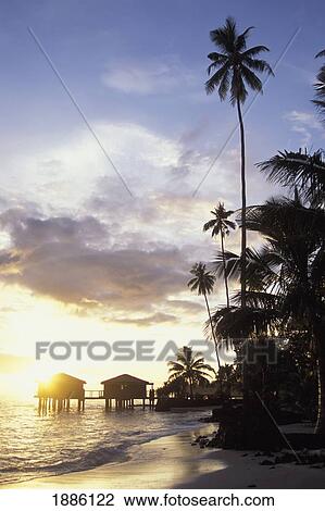 Stock Image - Stilted Huts And Palm Trees In Silhouette By Beach. Fotosearch