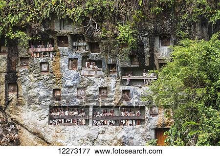 Stock Photo - Stone graves carved out of a rocky cliff with wood-carved effigies of the deceased, called Tau tau, Lemo, Toraja Land, South Sulawesi, Indonesia. Fotosearch