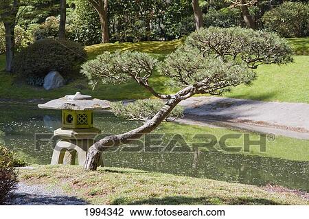 Stone Lamp In Nitobe Memorial Garden, A Traditional Japanese Tea And Stroll Garden Located At The University Of British Columbia, Vancouver, British Columbia, Canada View Large Photo Image Stock Image - Stone Lamp In Nitobe Memorial Garden, A Traditional Japanese Tea And Stroll Garden Located At The University Of British Columbia, Vancouver, British Columbia, Canada. Fotosearch