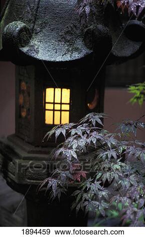 Stock Photo - Stone Latern Behind Maple Tree Branch, Close Up, Blurred Motion. Fotosearch