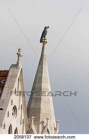Stone Magpie With A Ring On The Matthias Church, Budapest, Hungary View Large Photo Image Stock Photo - Stone Magpie With A Ring On The Matthias Church, Budapest, Hungary. Fotosearch