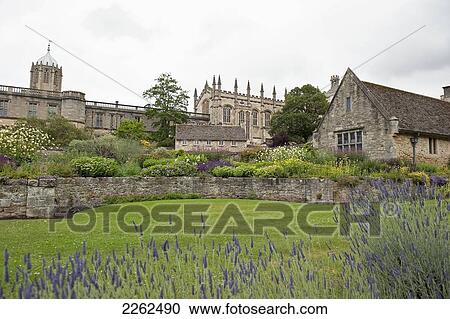 Stock Image - Stone Wall Separating Buildings And Grass With Flowers; Oxford England. Fotosearch