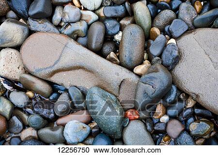 Stones on the beach; Lincoln City, Oregon, United States of America View Large Photo Image Stock Image - Stones on the beach; Lincoln City, Oregon, United States of America. Fotosearch