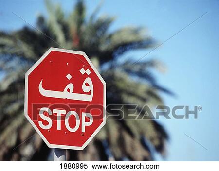 Stop Sign In Front Of Date Palm View Large Photo Image Stock Photography - Stop Sign In Front Of Date Palm. Fotosearch