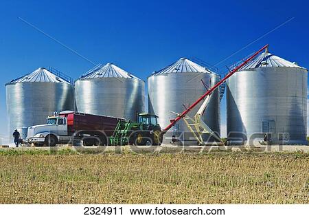 Stock Image - Storing canola in a grain storage bin near Holland; Manitoba, Canada. Fotosearch