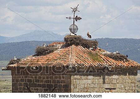 Stock Photo - Storks And Their Nests On A Tower; Trujillo, Caceres, Spain. Fotosearch