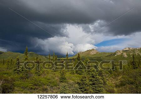 Stock Photograph - Storm approaches in Denali National park, Interior Alaska, Spring. Fotosearch