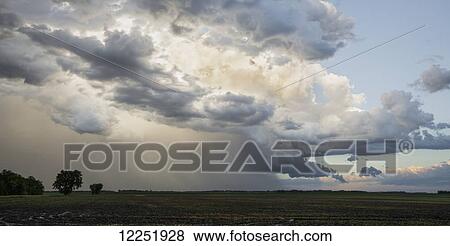 Stock Photo - Storm clouds and rainfall at sunset, near Winnipeg; Manitoba, Canada. Fotosearch