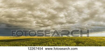 Picture - Storm clouds gather over Grasslands National Park at dawn; Saskatchewan, Canada. Fotosearch