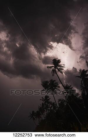 Stock Image - Storm in Alona beach, thunderbolt over the palms; Panglao Island, Bohol, Philippines. Fotosearch