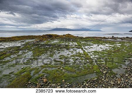 Stock Image - Straights of Magellan, Cabo Froward; Punta Arenas, Magallanes, Chile. Fotosearch